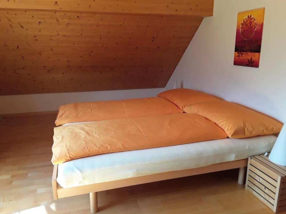 Zwinglis Ferienwohnung Rosi Nesslau Extérieur photo